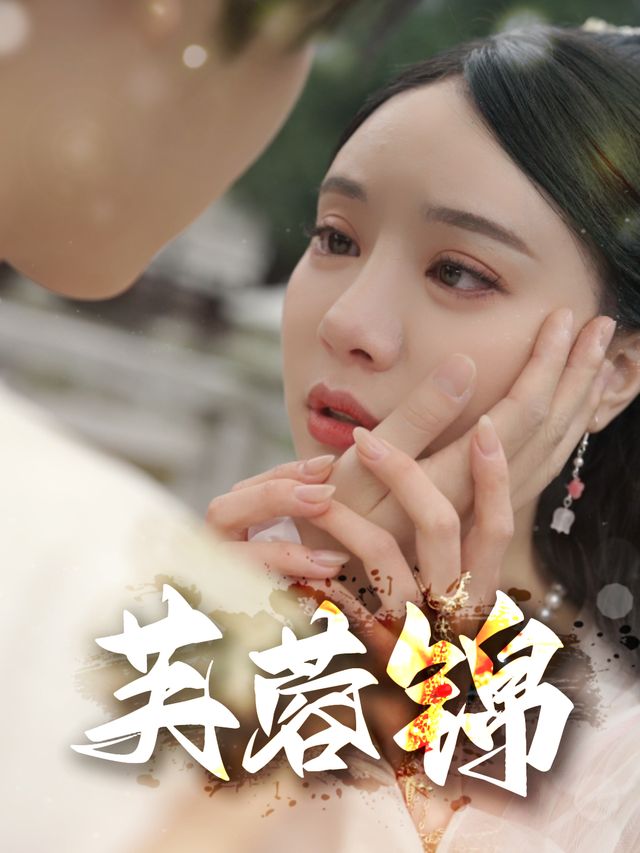 芙蓉锦封面
