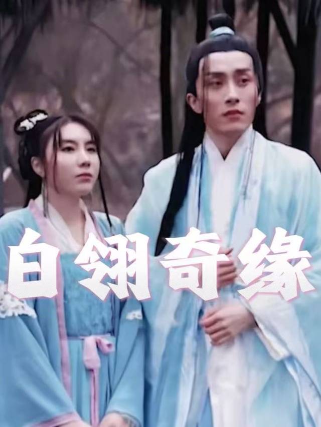 白翎奇缘封面