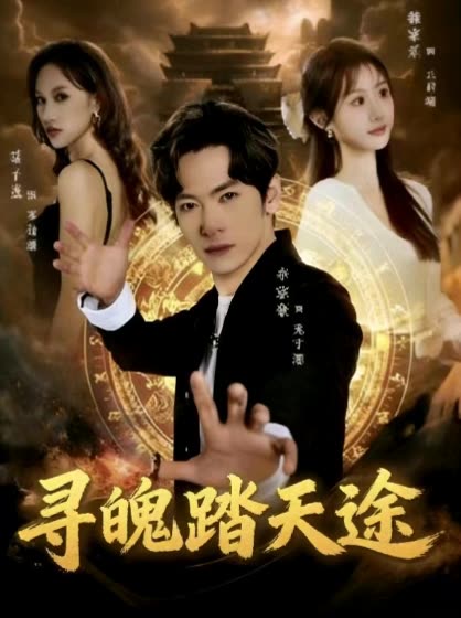 寻魄踏天途封面
