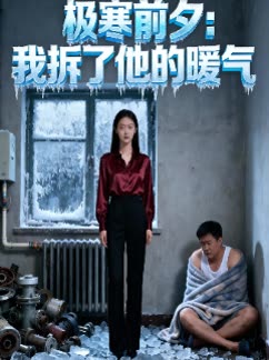 极寒前夕:我拆了他的暖气封面