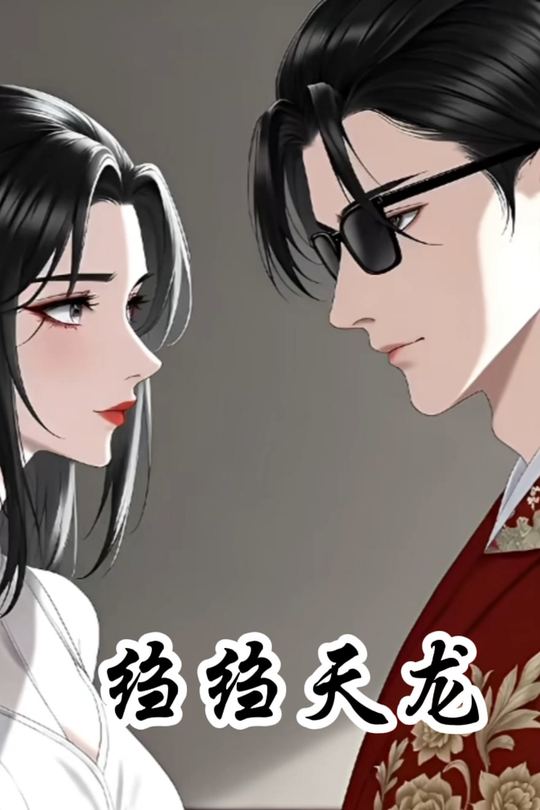绉绉天龙封面