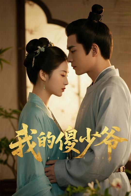 我的傻少爷封面