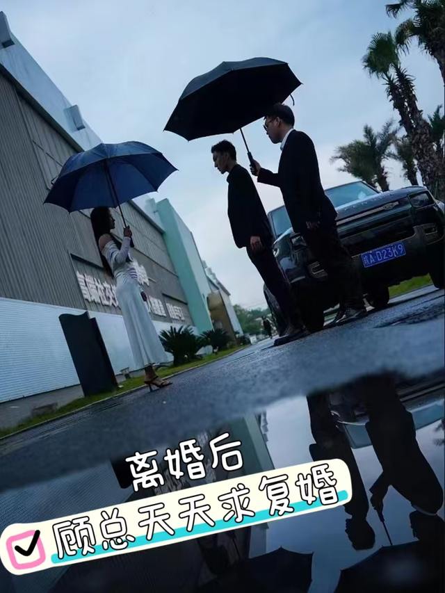 离婚后,顾总天天求复婚封面