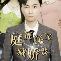 庭院深深藏娇妻封面