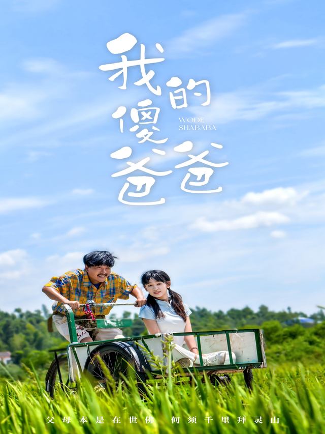 我的傻爸爸封面