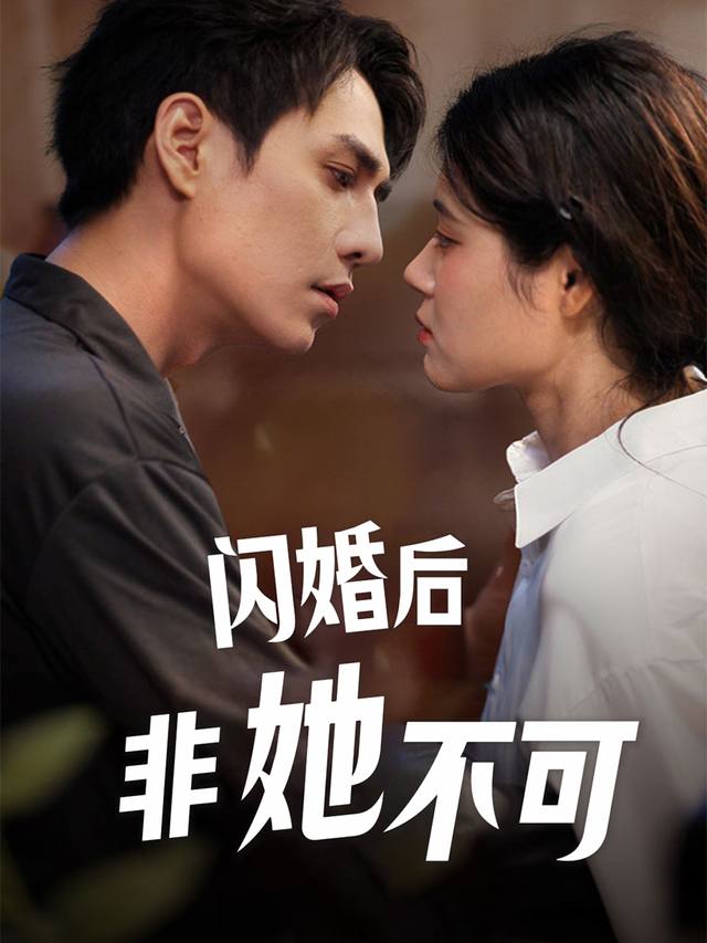 闪婚后非她不可封面