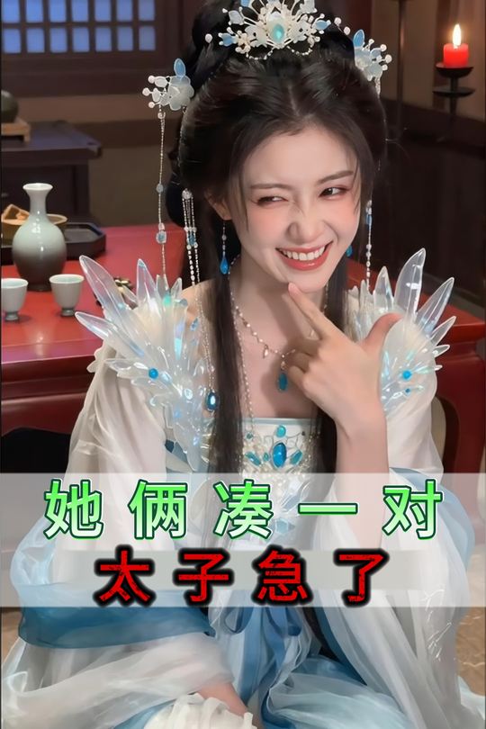 她俩凑一对太子急了封面
