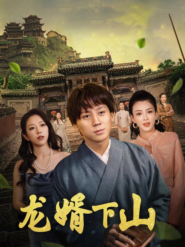 龙婿下山封面