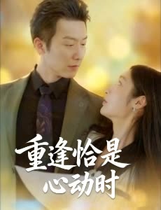 重逢恰是心动时封面