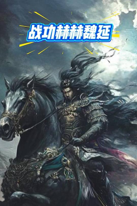 战功赫赫魏延封面