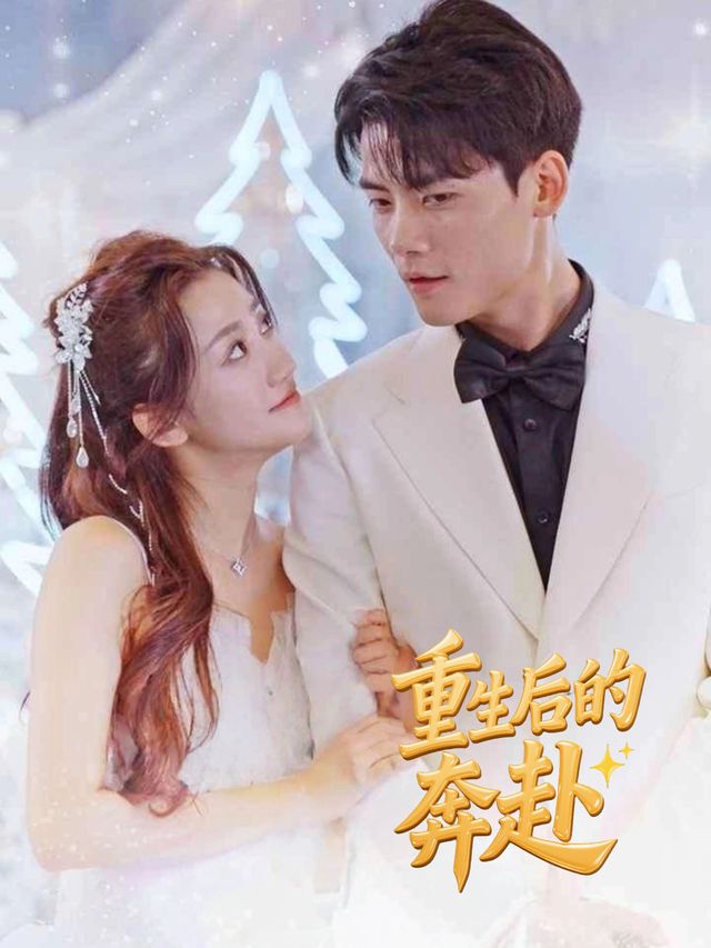 重生后的奔赴封面