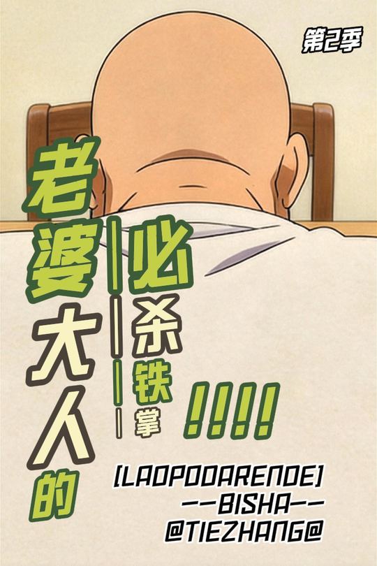 老婆大人的必杀铁掌第二季封面