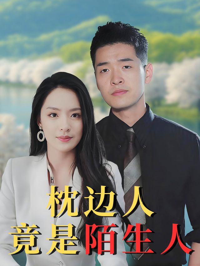 枕边人竟是陌生人封面