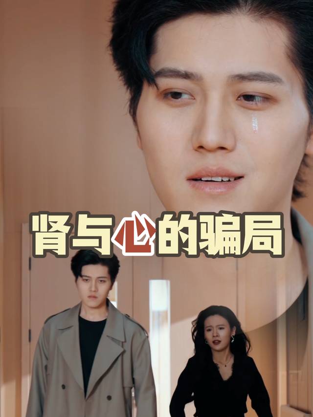 肾与心的骗局封面