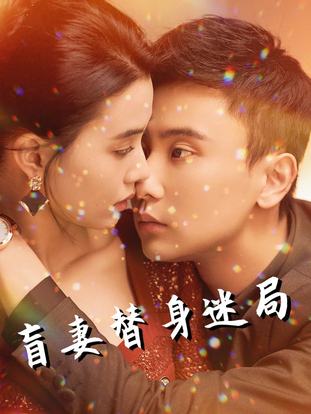 盲妻替身迷局封面