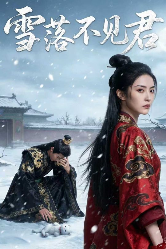 雪落不见君封面