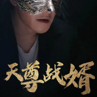 战婿封面