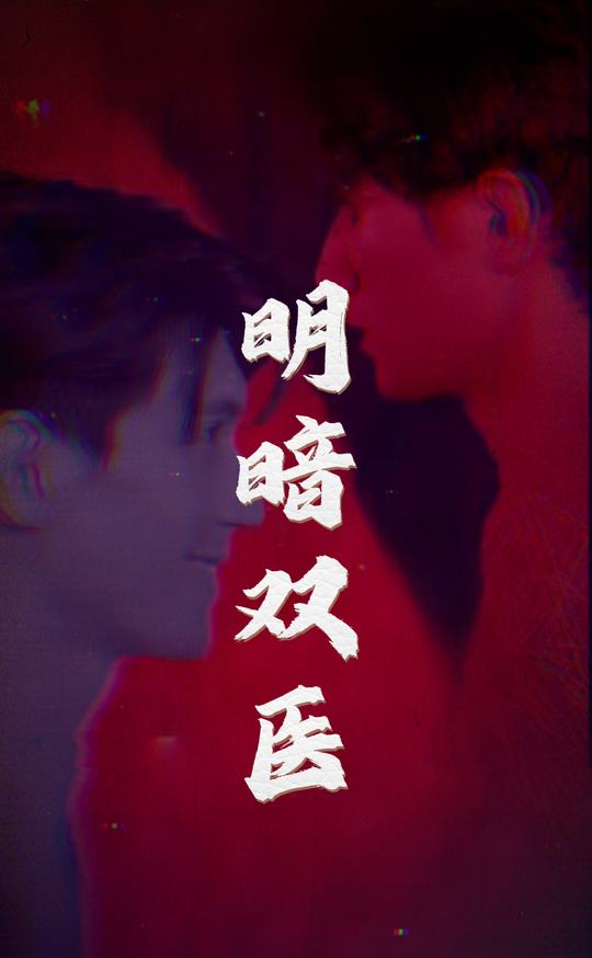 明暗双医封面