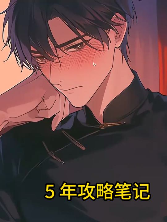 5 年攻略笔记封面