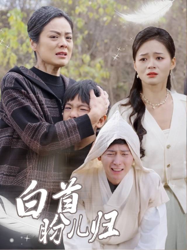 白首盼儿归封面
