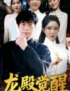 龙殿觉醒封面