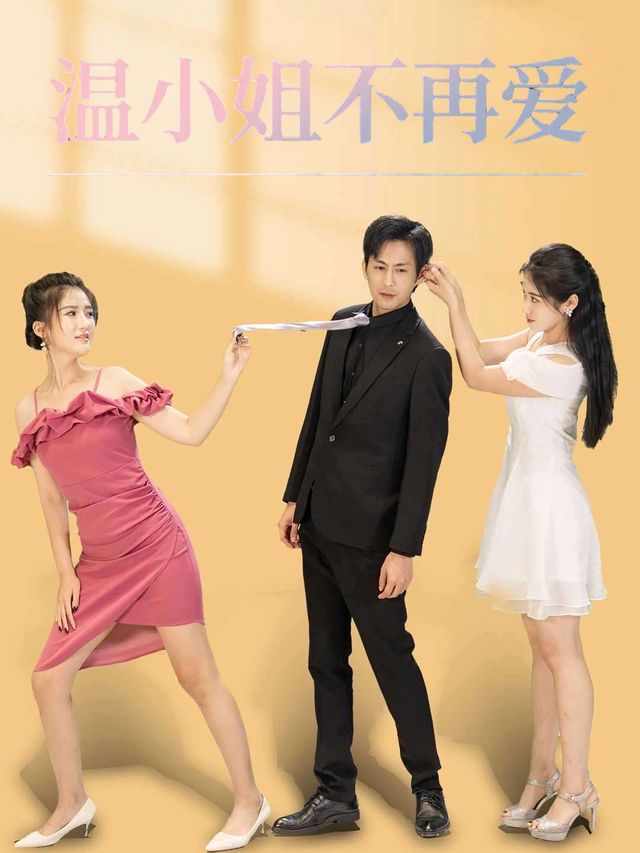 温小姐不再爱封面
