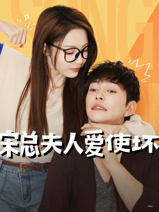宋总夫人爱使坏封面