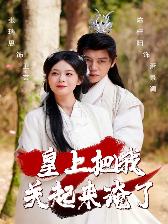 皇上把我关起来淹了封面