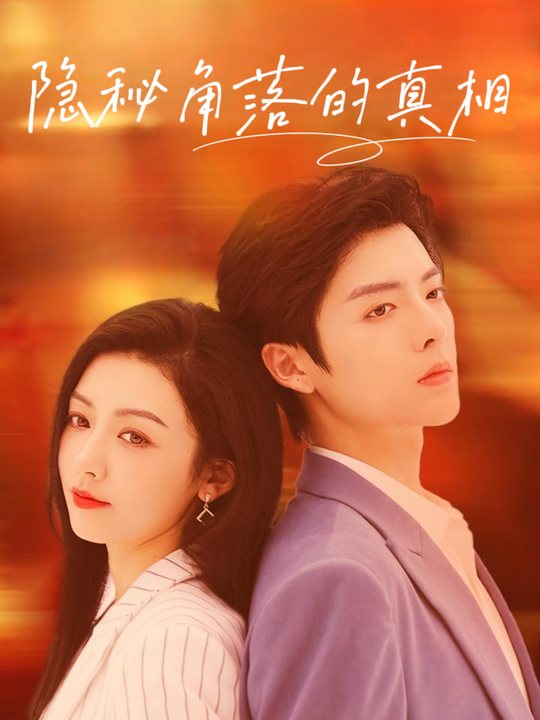 隐秘角落的真相封面