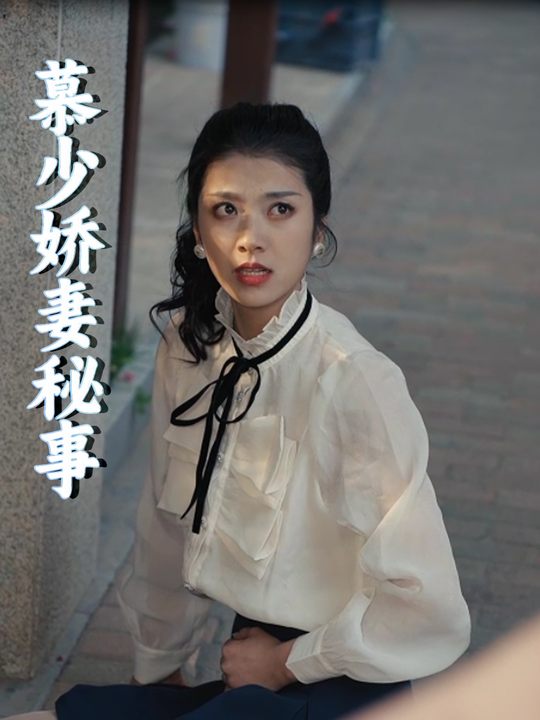 慕少娇妻秘事封面