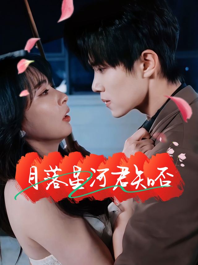 月落星河君知否封面
