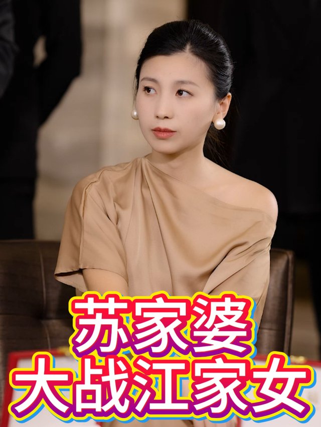 苏家婆大战江家女封面