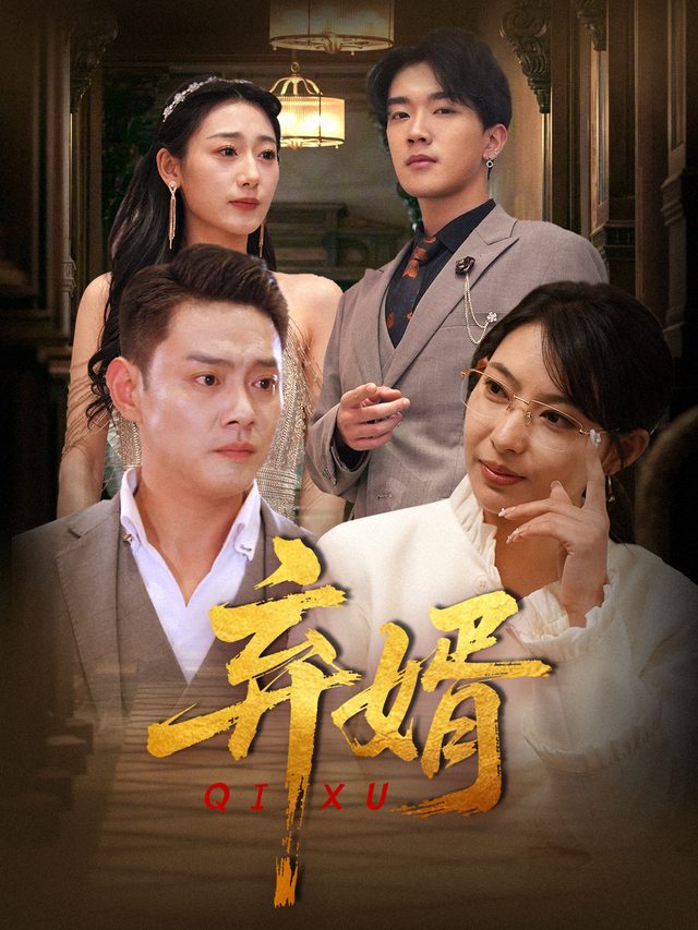 弃婿封面
