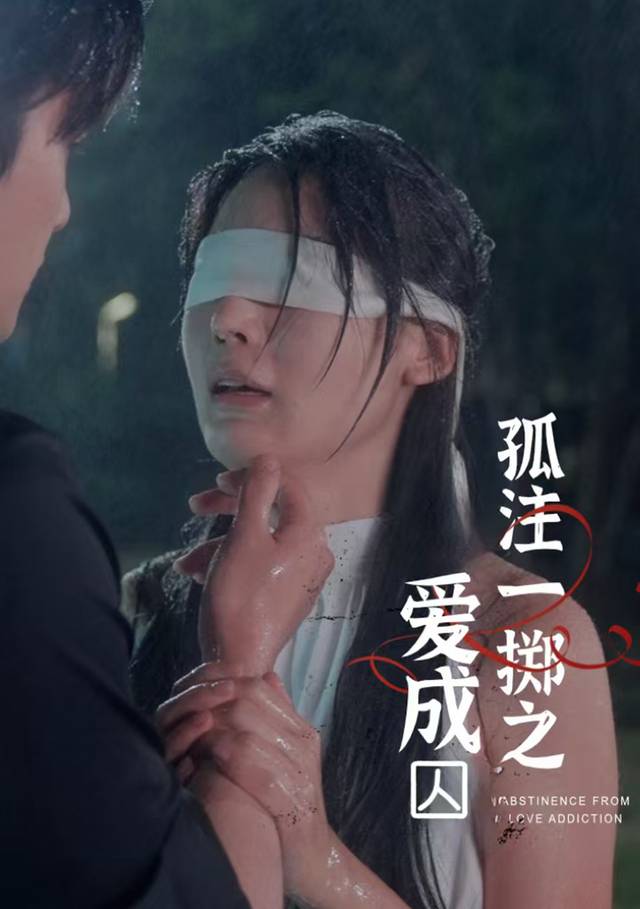 孤注一掷之爱成囚封面