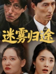 迷雾归途封面