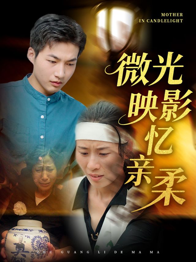 微光映影忆亲柔封面