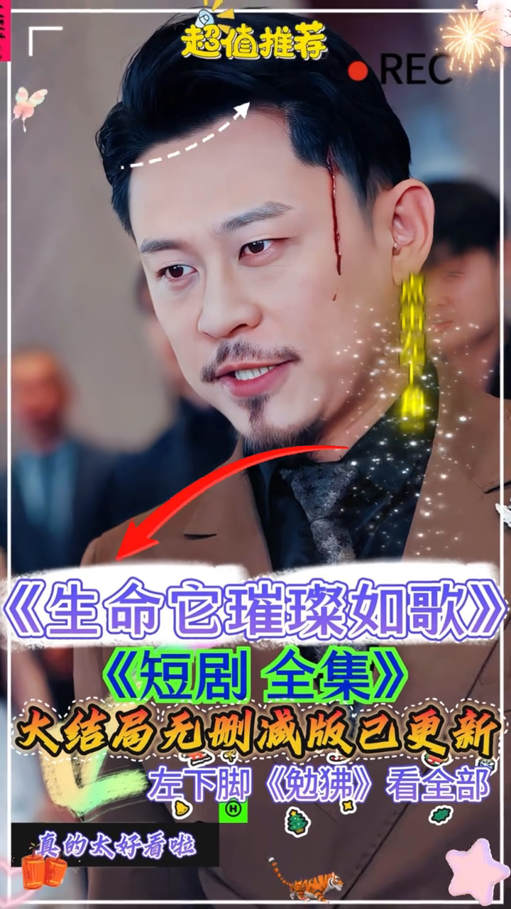 生命它璀璨如歌封面