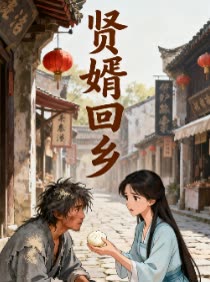贤婿回乡封面