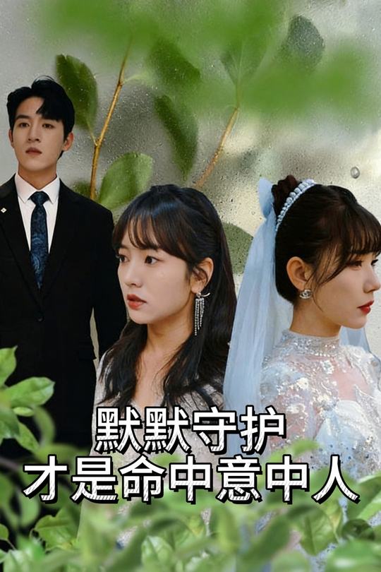 默默守护才是命中意中人封面