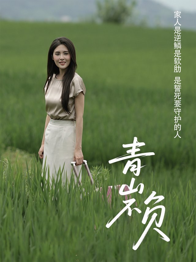 青山不负封面