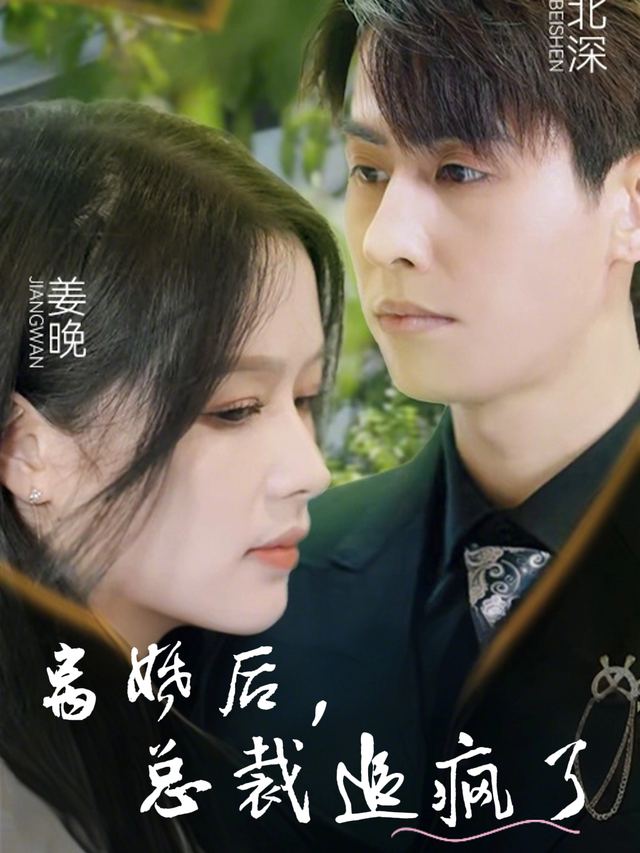 离婚后,总裁追疯了封面