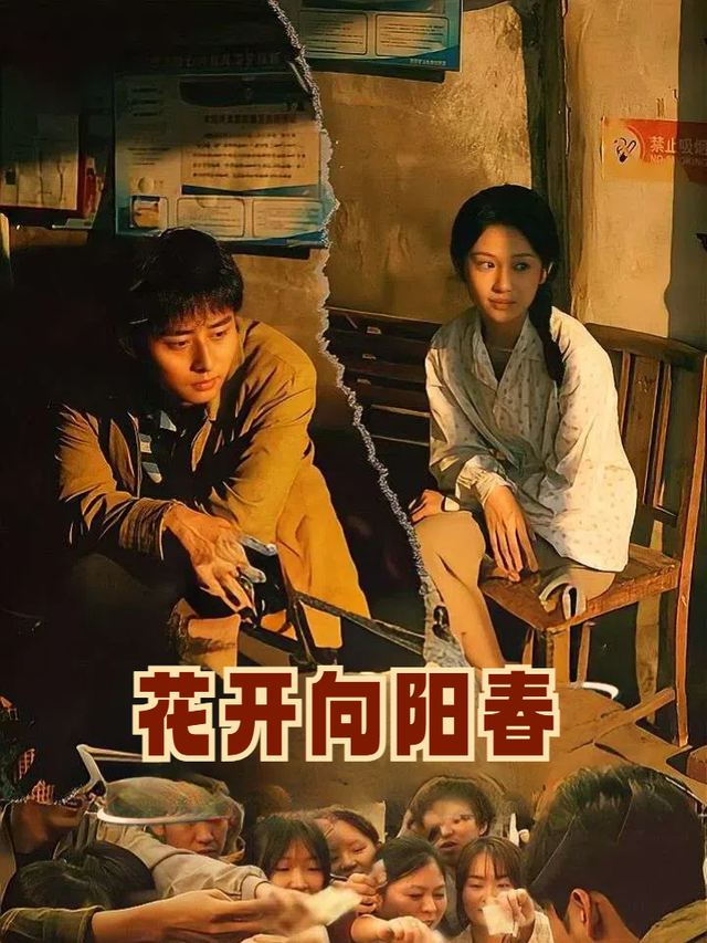 花开向阳春封面