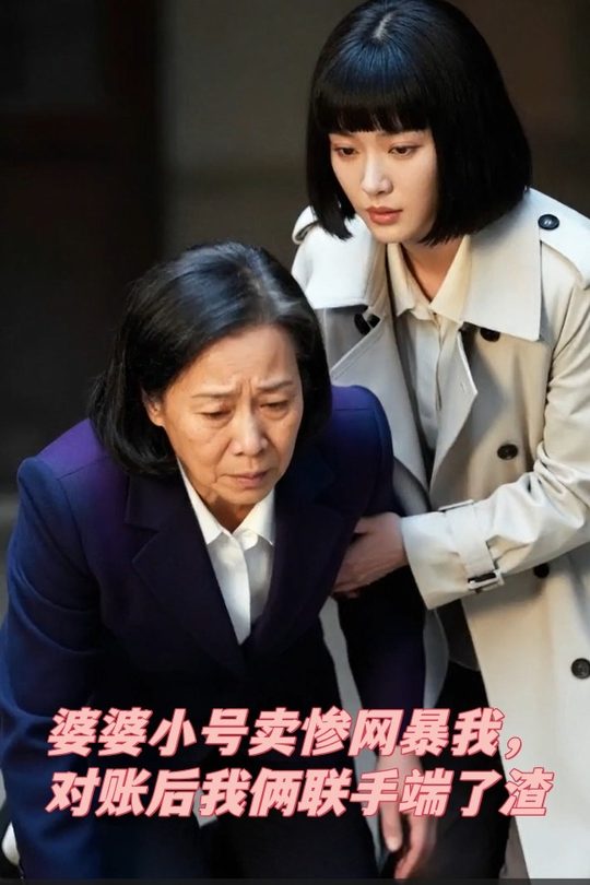 婆婆小号卖惨网暴我,对账后我俩联手端了渣封面