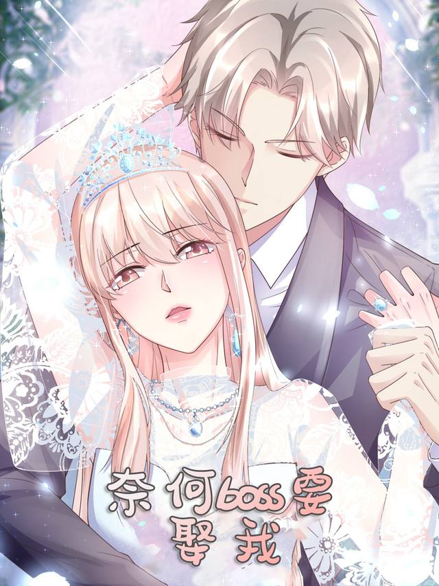 奈何boss要娶我封面