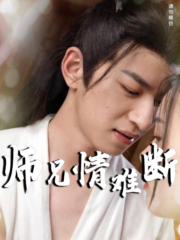师兄情难断封面