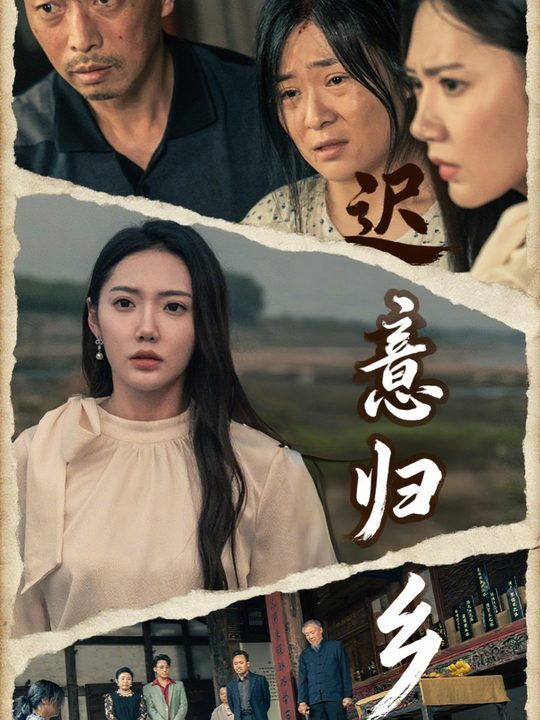 迟意归乡封面