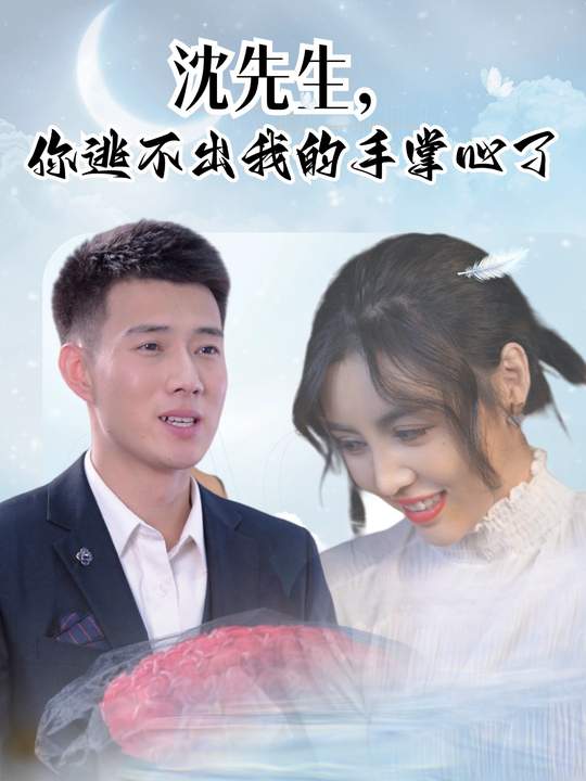 沈先生,你逃不出我的手掌心了封面