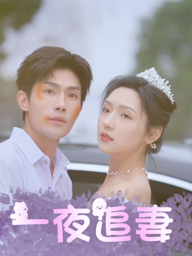 一夜追妻封面