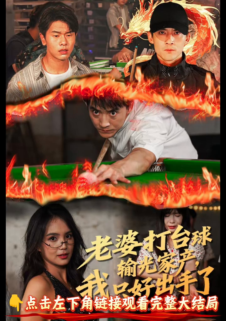 老婆打台球输光家产,我只好出手了封面