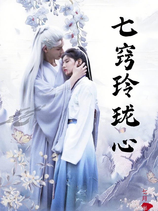 七窍玲珑心封面
